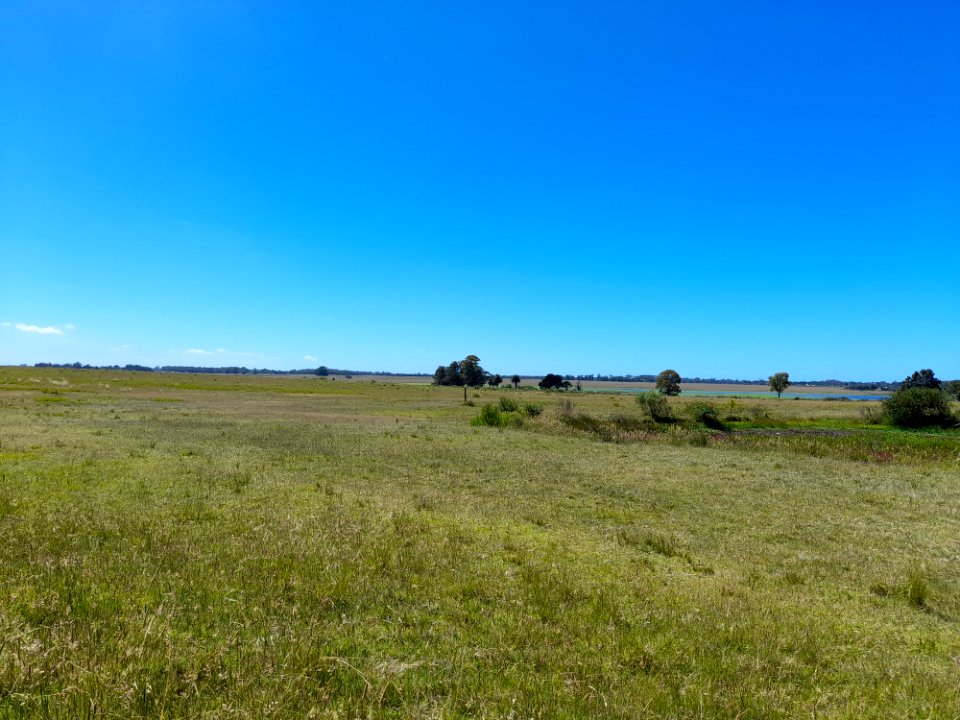Laguna del Cisne vista desde la calle Chajá, 2