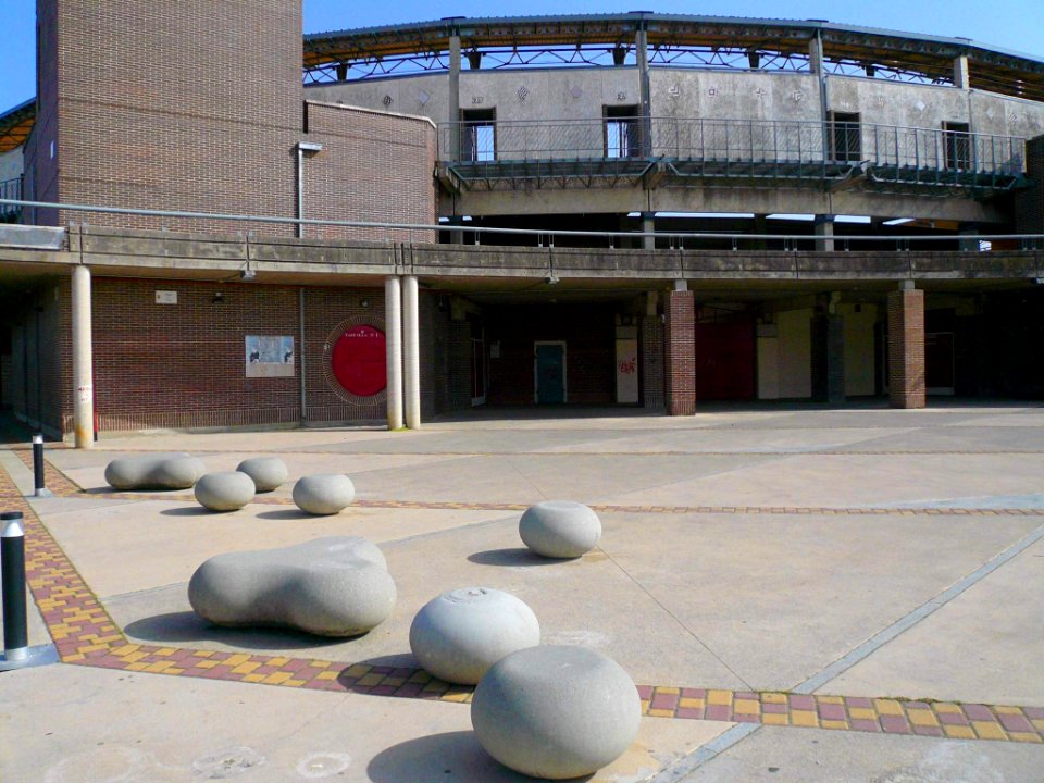 Laguna de Duero - Plaza de toros 11