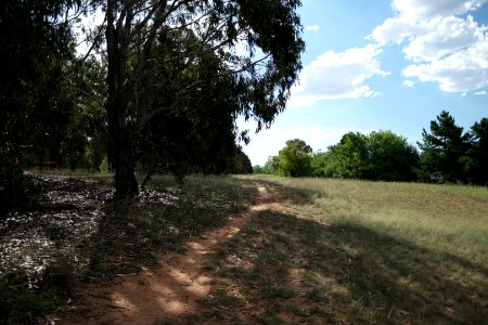 Lake Burley Griffin view from between Blue Gum Point and Attunga Point 013