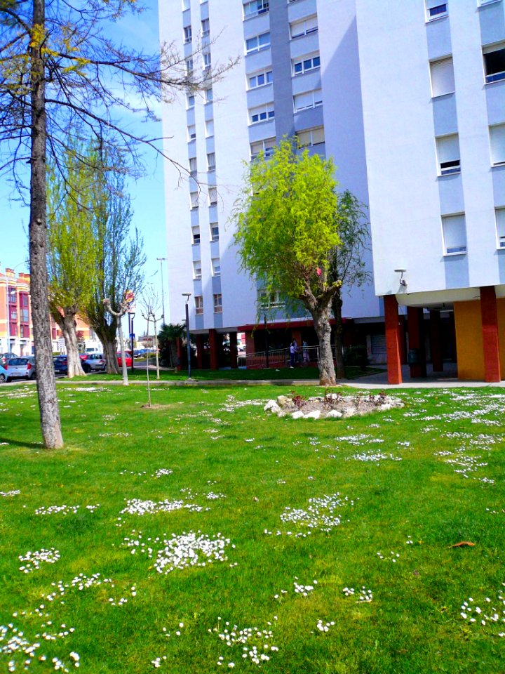 Laguna de Duero - Urbanización Torrelago 13
