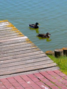 Laguna de Duero - Laguna y Entorno 10