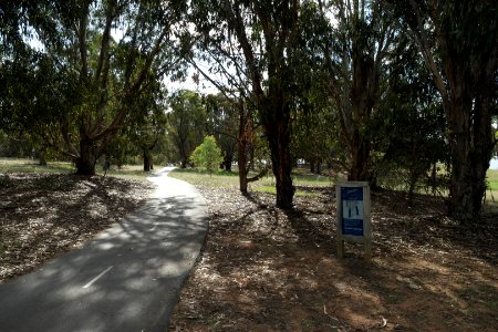 Lake Burley Griffin view from between Blue Gum Point and Attunga Point 015