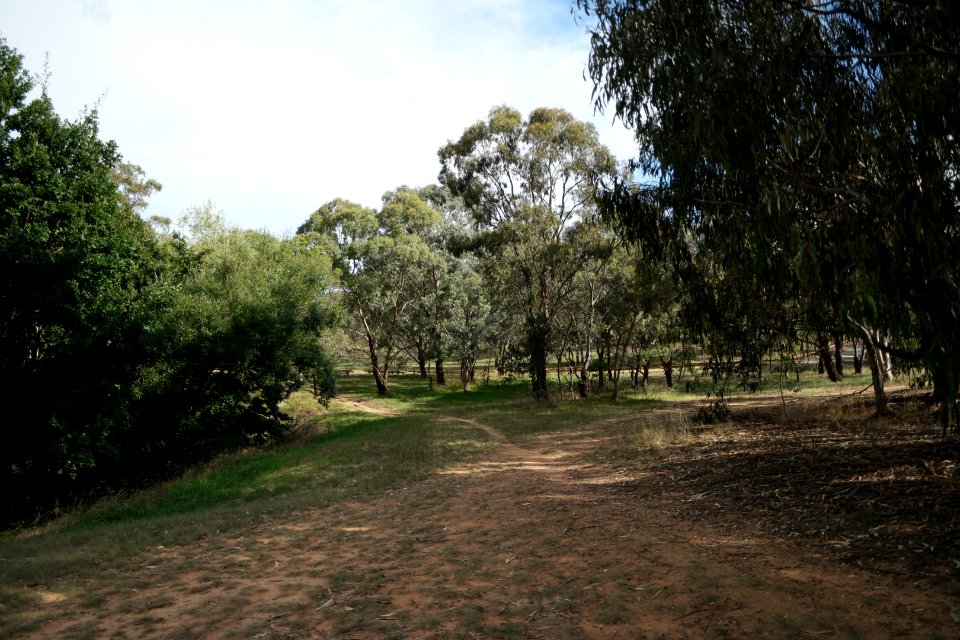 Lake Burley Griffin view from between Blue Gum Point and Attunga Point 012