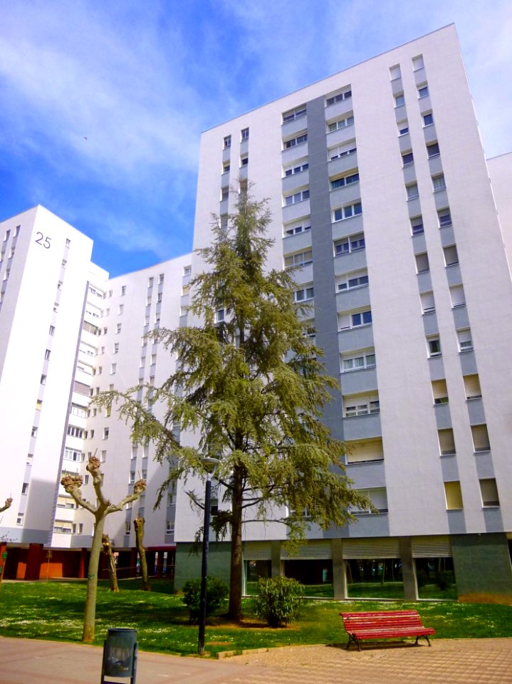 Laguna de Duero - Urbanización Torrelago 06