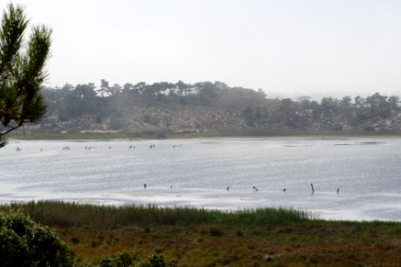 Lagune standre4