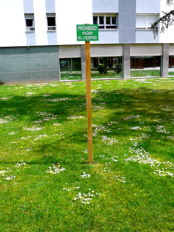 Laguna de Duero - Urbanización Torrelago 12