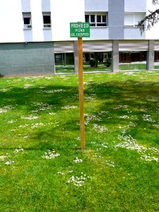 Laguna de Duero - Urbanización Torrelago 12