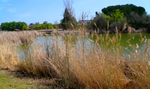 Laguna de Duero - Laguna y Entorno 03