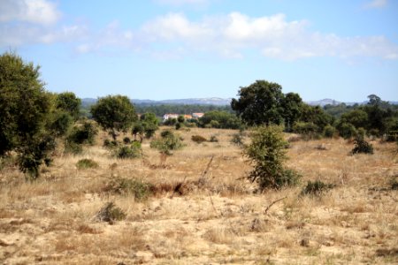 Lagune standre5