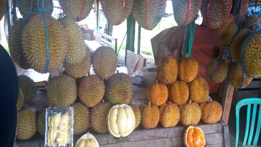 Lai-durian compare IMG-20150318-WA0043