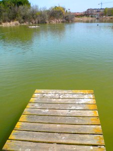 Laguna de Duero - Laguna y Entorno 11