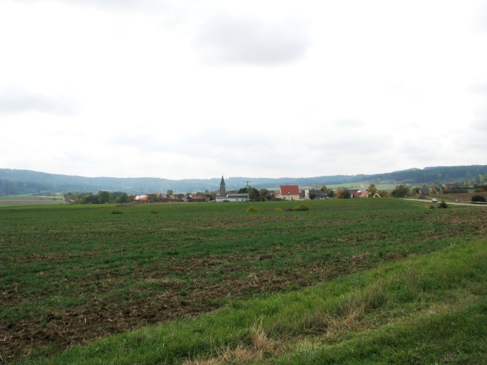Laibstadt (18)