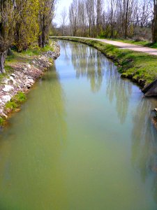 Laguna de Duero - Canal del Duero 2