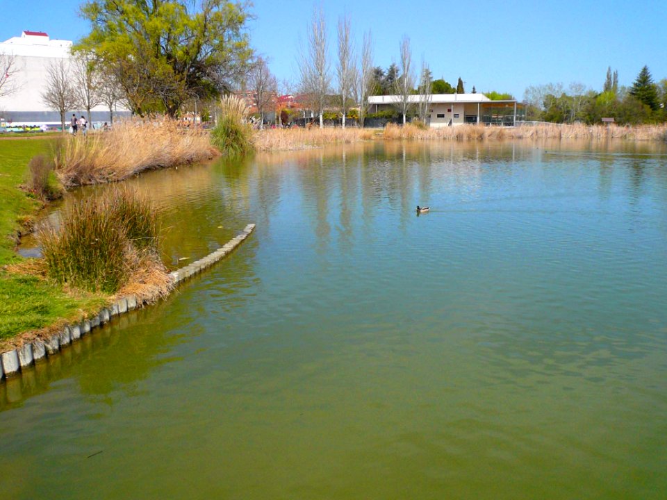 Laguna de Duero - Laguna y Entorno 13