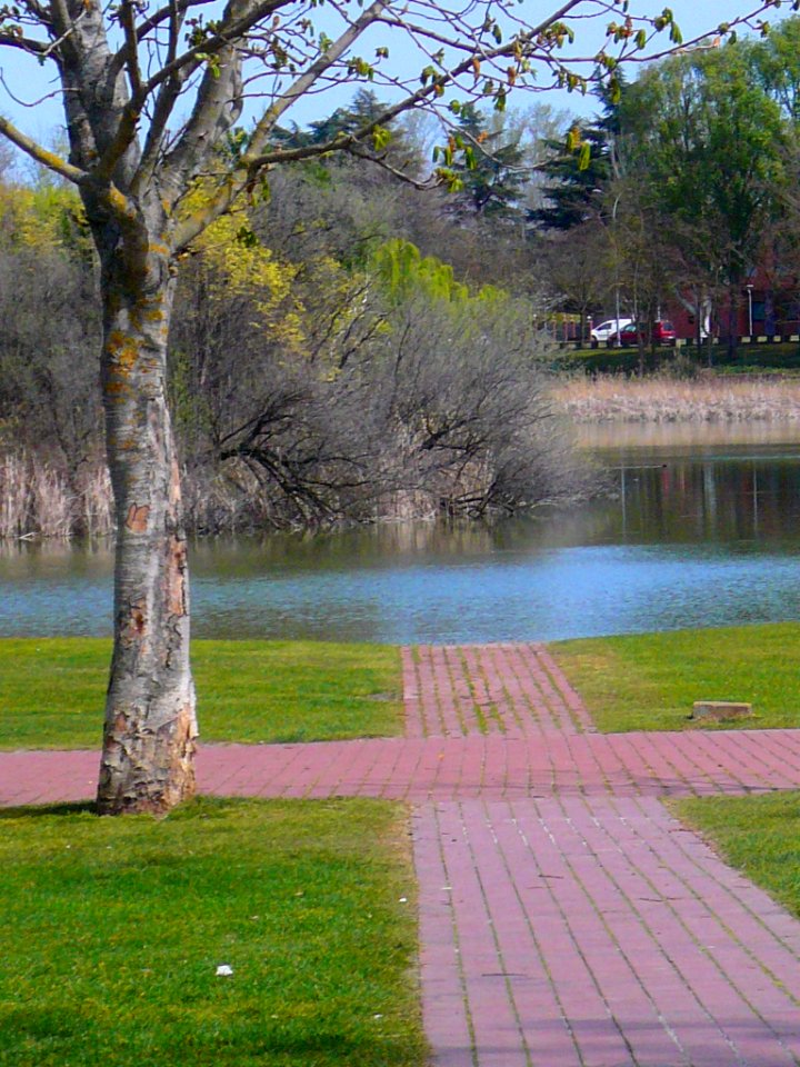 Laguna de Duero - Laguna y Entorno 16