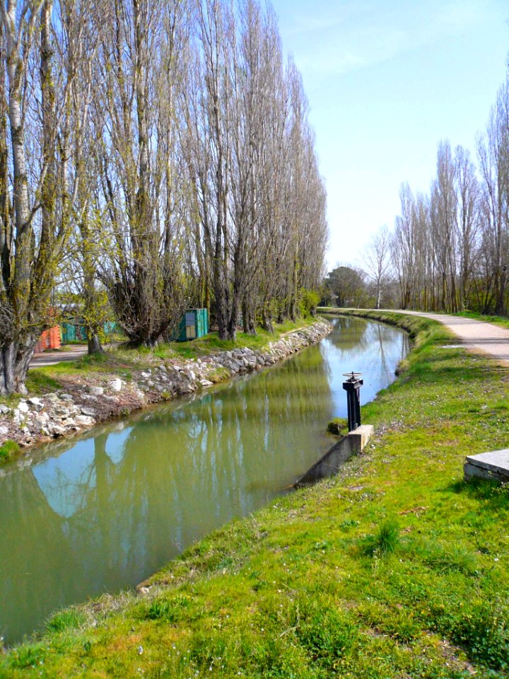 Laguna de Duero - Canal del Duero 3