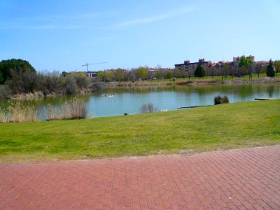 Laguna de Duero - Laguna y Entorno 32