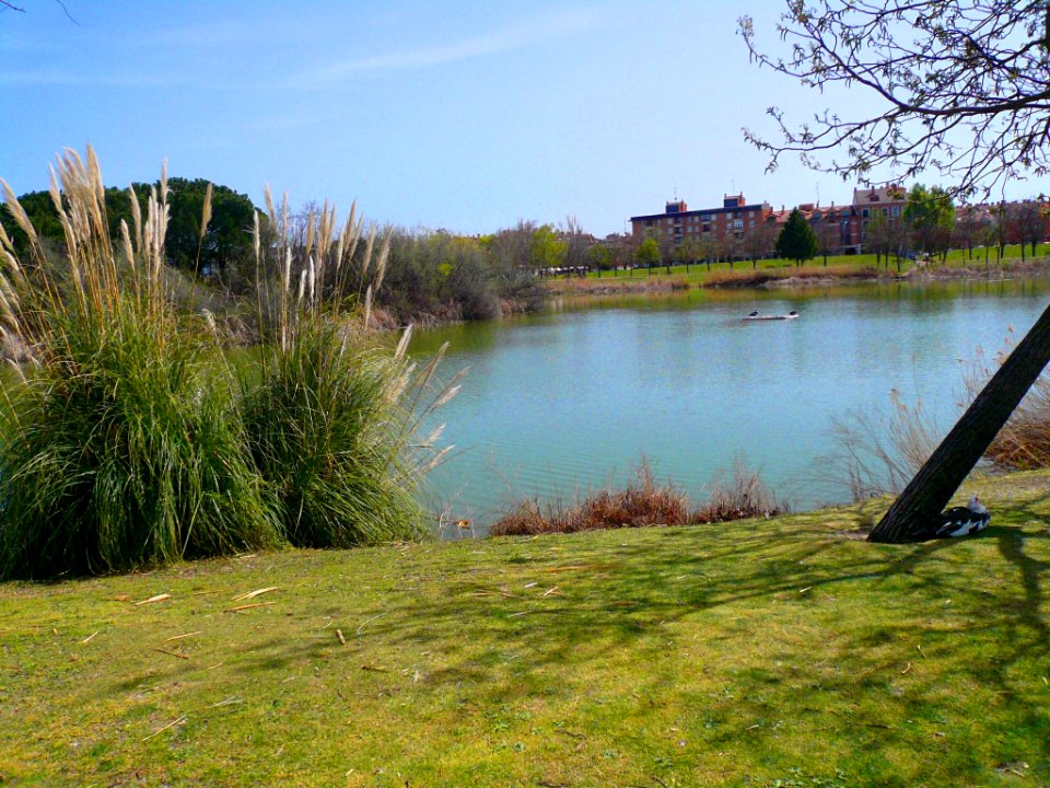 Laguna de Duero - Laguna y Entorno 06