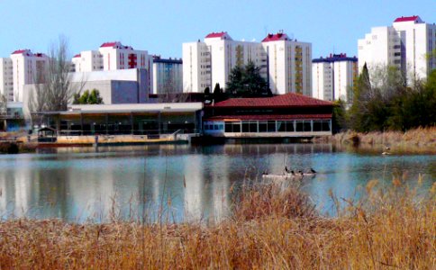 Laguna de Duero - Laguna y Entorno 31