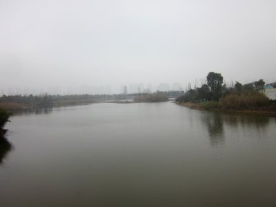 Lake Yang in Yanghu Wetland Park, picture18