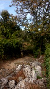 Lanas - Bord de l'Ardèche