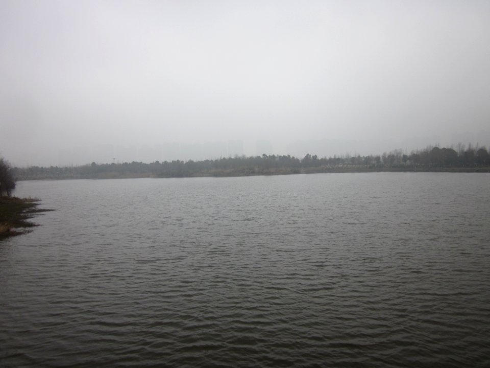 Lake Yang in Yanghu Wetland Park, picture14