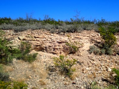 Lake Valley Limestone