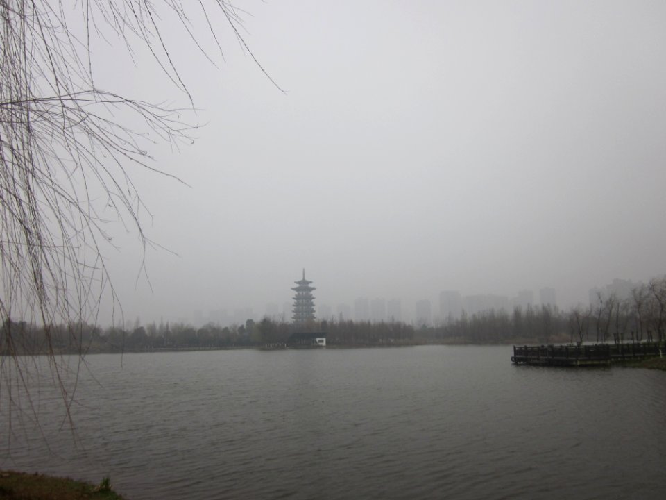 Lake Yang in Yanghu Wetland Park, picture11