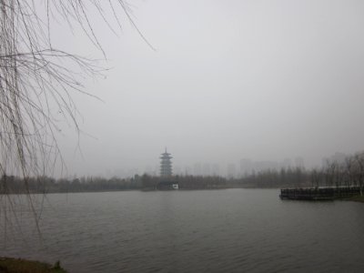 Lake Yang in Yanghu Wetland Park, picture11 photo