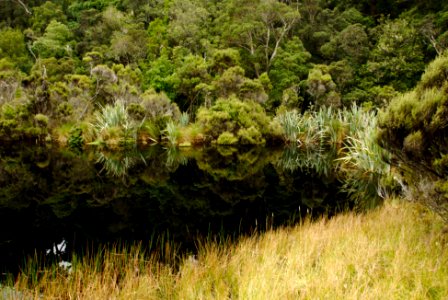 Lake Wilkie-1