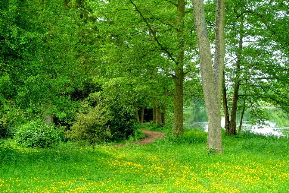 Lake Walk, Stowe - Buckinghamshire, England - DSC06910