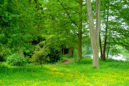 Lake Walk, Stowe - Buckinghamshire, England - DSC06910