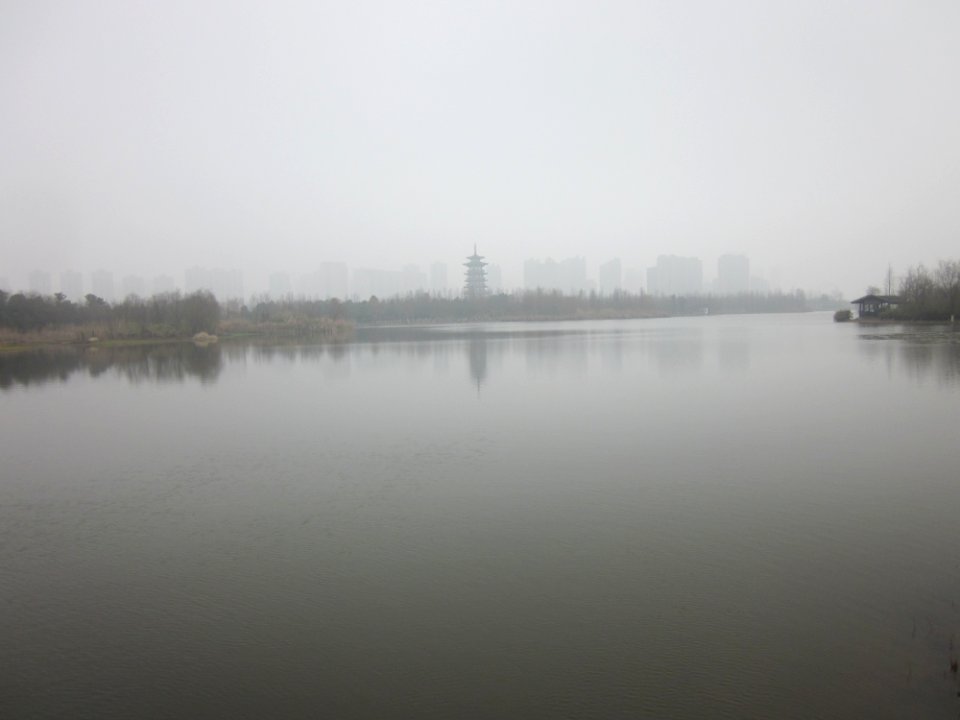 Lake Yang in Yanghu Wetland Park, picture15