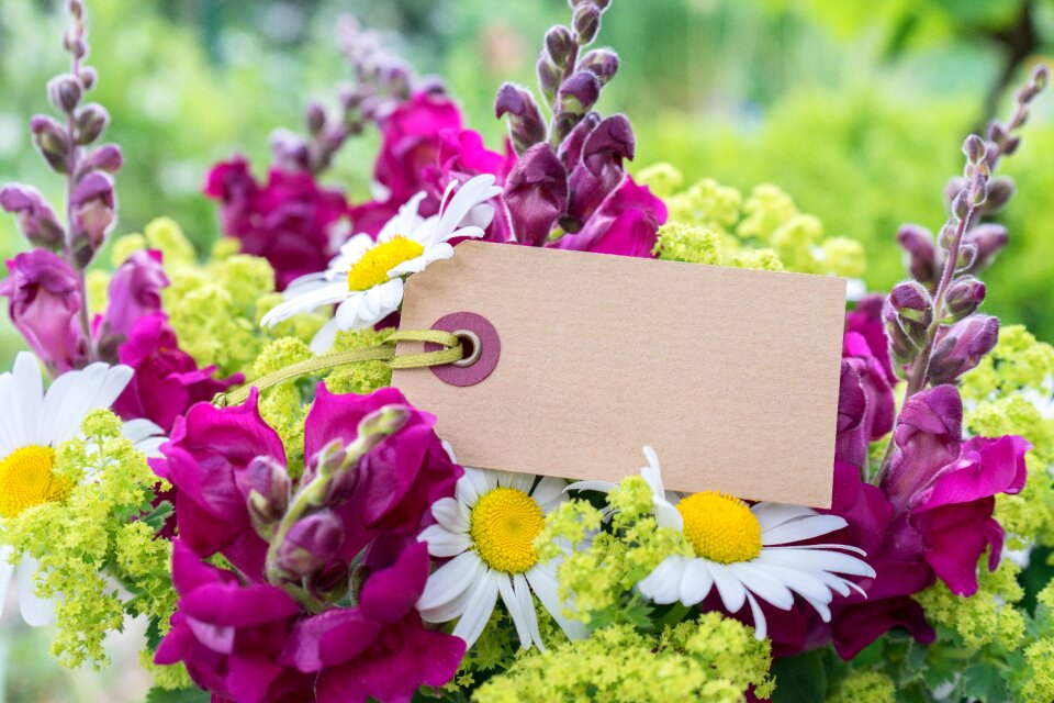 Embassy floral greeting plant