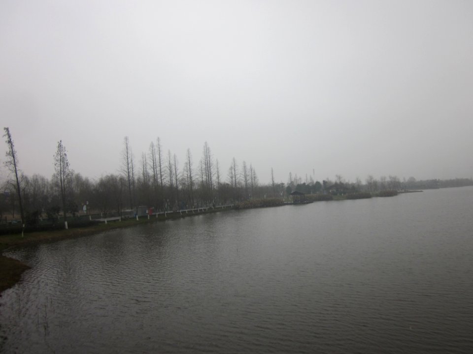 Lake Yang in Yanghu Wetland Park, picture7