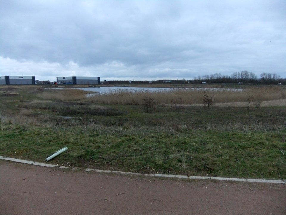 LakeInRidgewayCountryPark