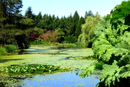 Lake view - VanDusen Botanical Garden - Vancouver, BC - DSC07396