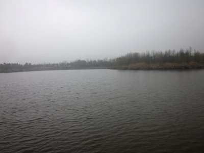 Lake Yang in Yanghu Wetland Park, picture13