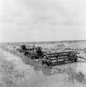 Landbouwmachines, werktuigen, arbeiders, Bestanddeelnr 250-8338