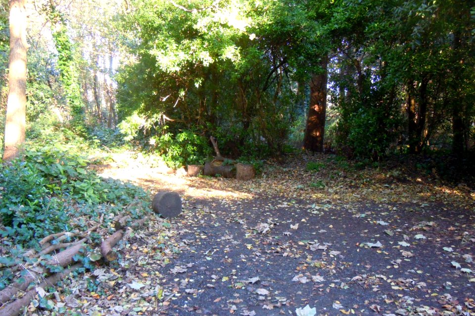 Land off Manor Road, Portslade (Former Portslade Manor Gardens) (November 2015)
