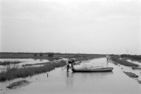 Land, water, mannen, boten, Bestanddeelnr 251-3681