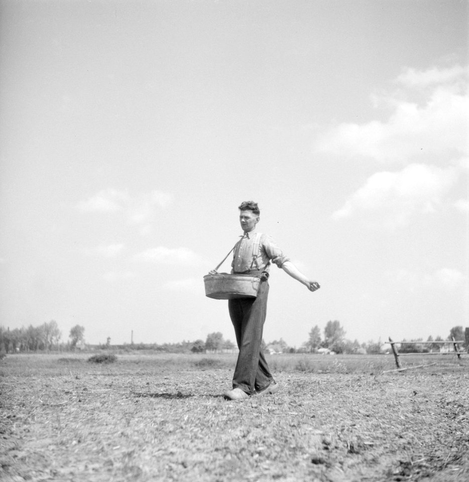 Landbouwer zaait zaden uit, Bestanddeelnr 254-4080