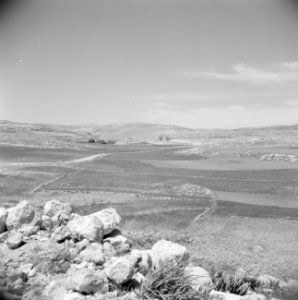 Landbouw gebied met zicht op Jerash, Bestanddeelnr 255-5694
