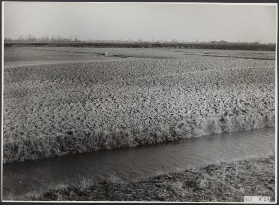 Landbouw, Bestanddeelnr 035-0529