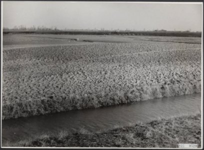 Landbouw, Bestanddeelnr 035-0529