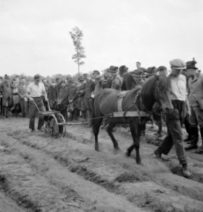 Landbouwmachines, werktuigen, arbeiders, dieren, paarden, Bestanddeelnr 251-7210