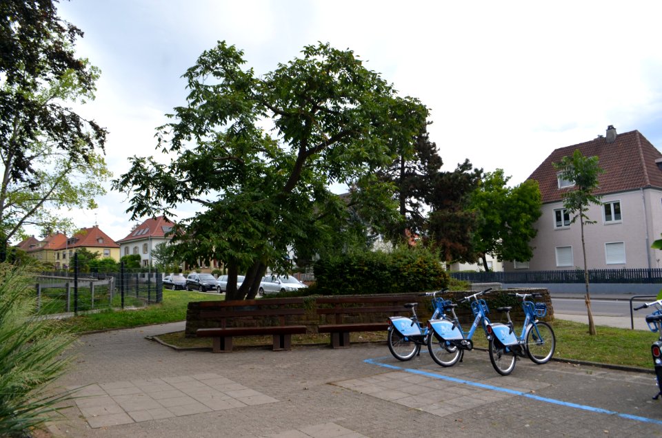 Landau, Platz der Donaupfälzer