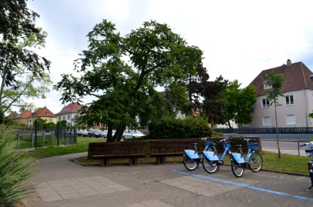 Landau, Platz der Donaupfälzer