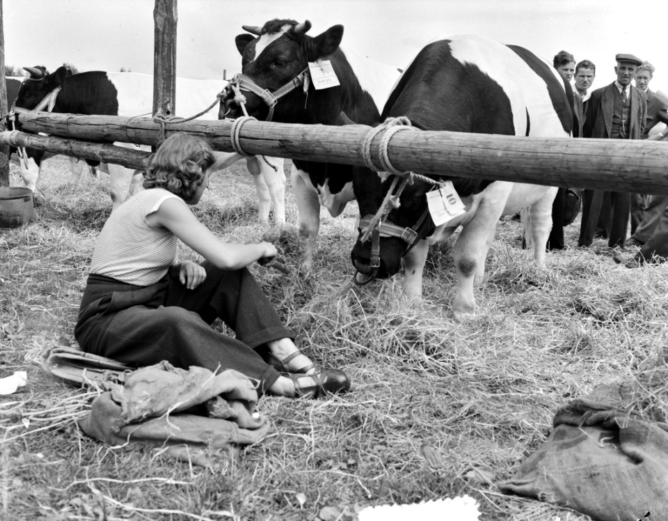 Landbouw tentoonstelling te Dordrecht, Bestanddeelnr 904-7041