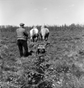 Landbouwmachines, werktuigen, arbeiders, dieren, paarden, Bestanddeelnr 251-7157